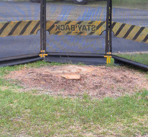 Site Cleaning