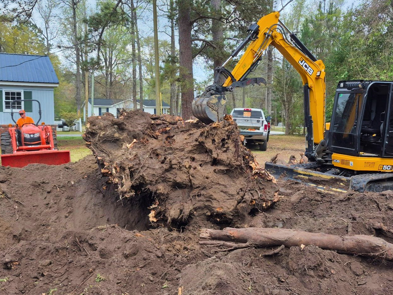 Tree and Stump Removal