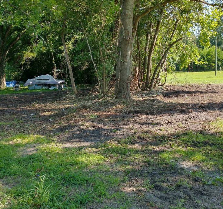 Overgrowth Cleanup